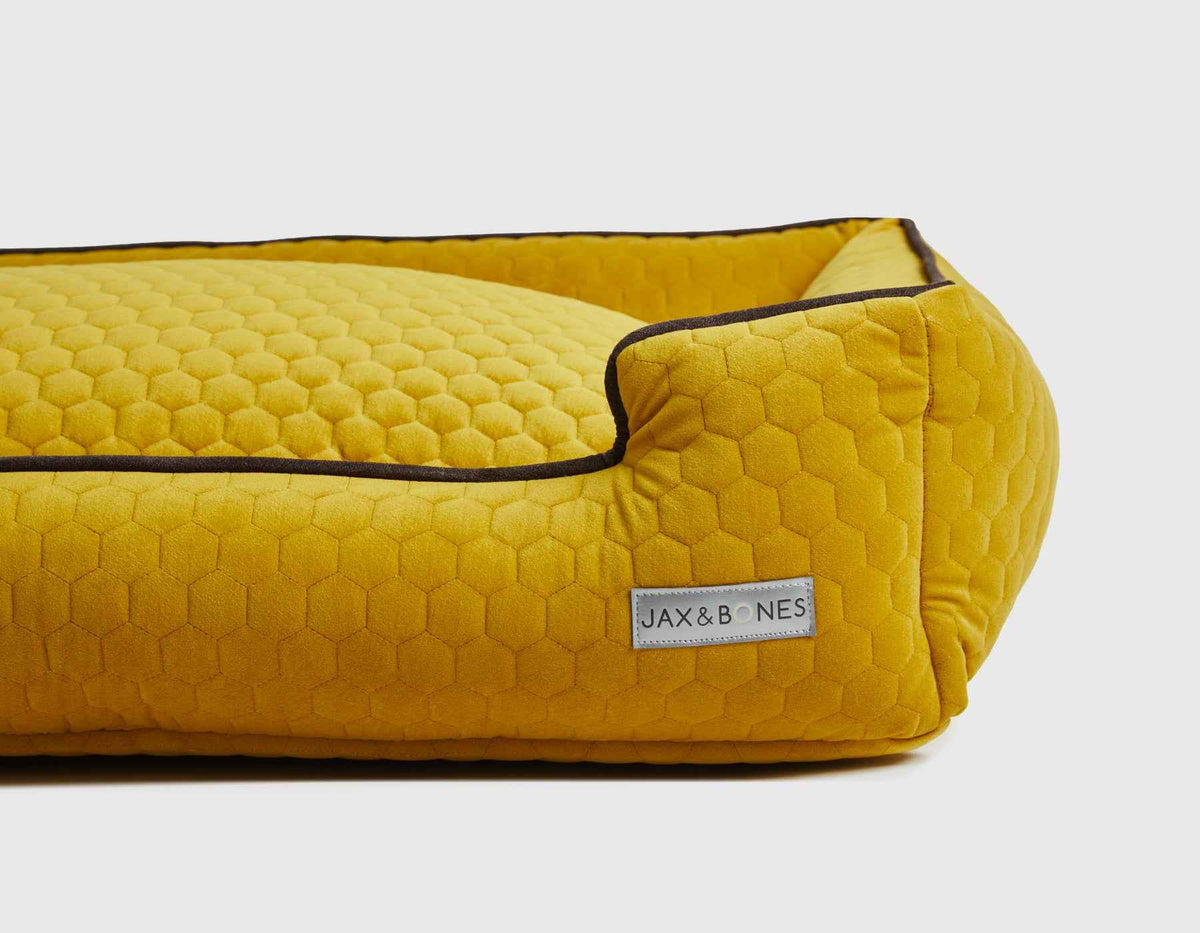 Bumble Chartreuse Lounge Bed