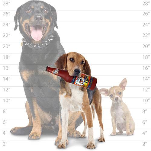 Silly Squeakers®  Beer Bottle - Killer Bite