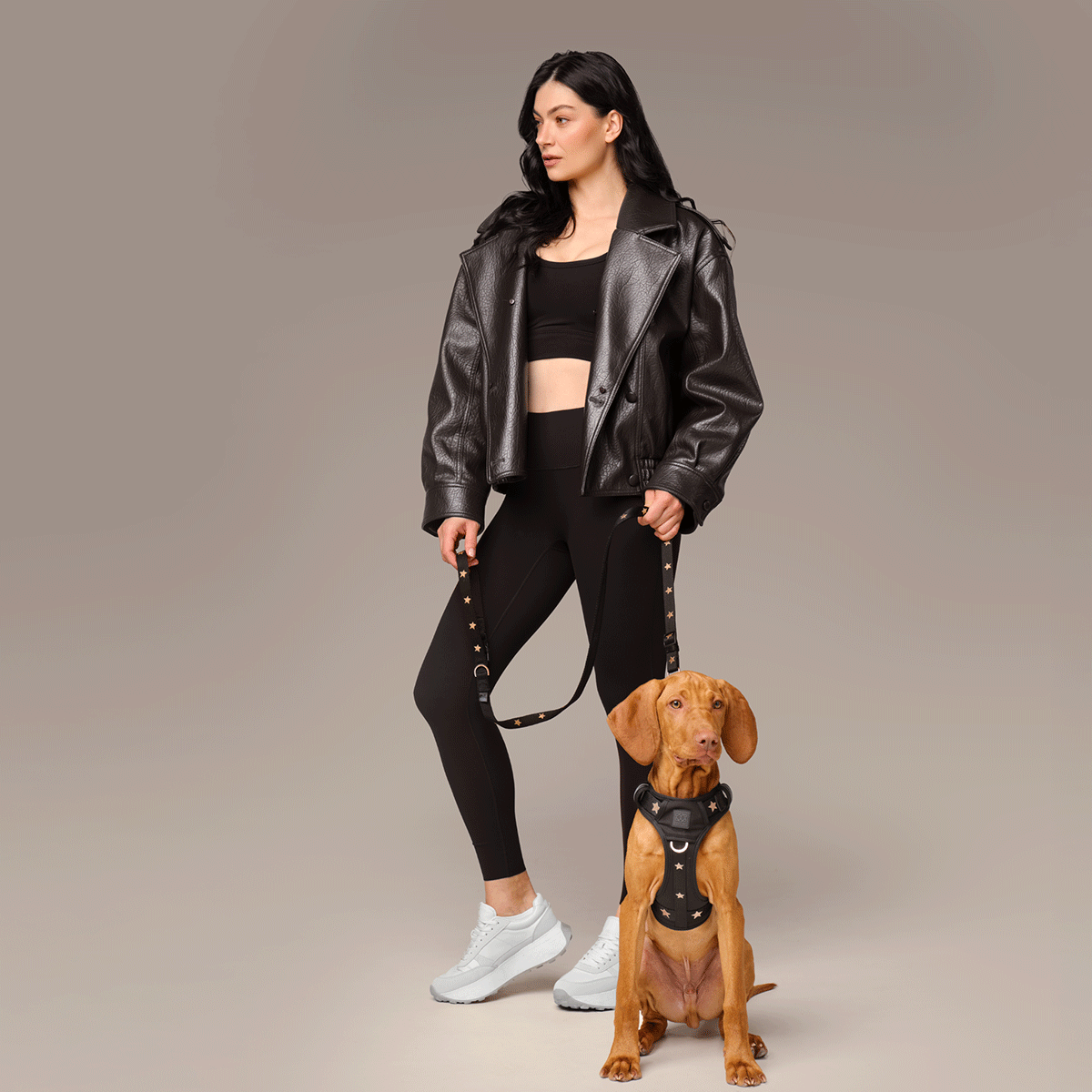 DOGISTRY NoMad Adjustable Luxe Harness - Rockstar