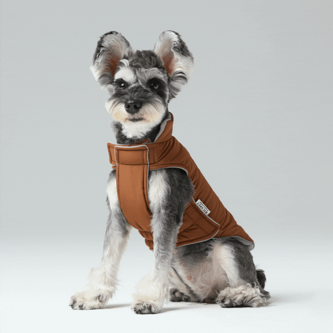 Reversible Dog Vest Jacket-Orange Grey