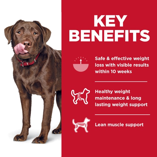 Hills Science Diet Adult Perfect Weight Large Breed Dry Dog Food, Chicken Recipe Bag (25lb)