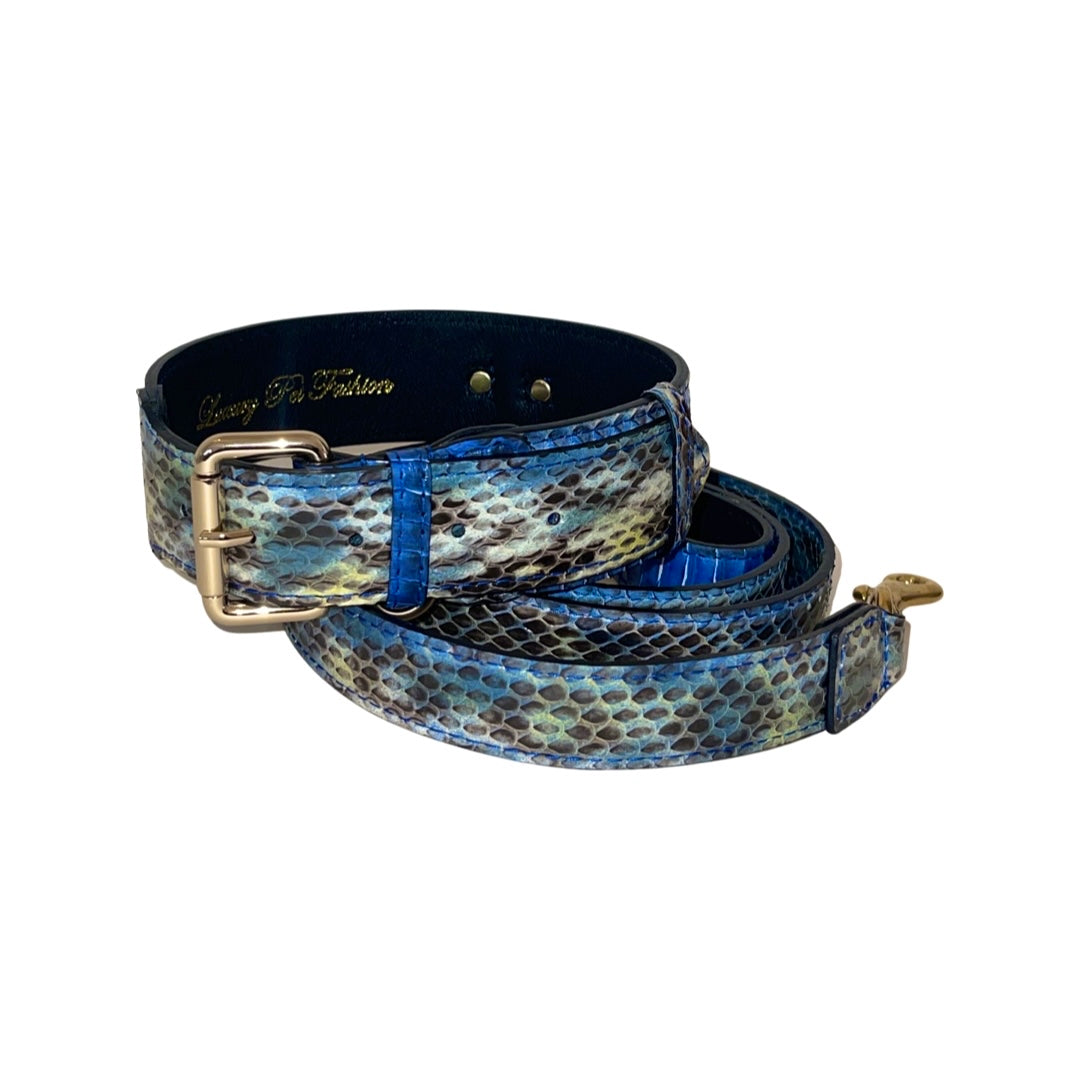Allysa Payne Multi-Blue Tone Snake Classic Dog Collar & Leash Set