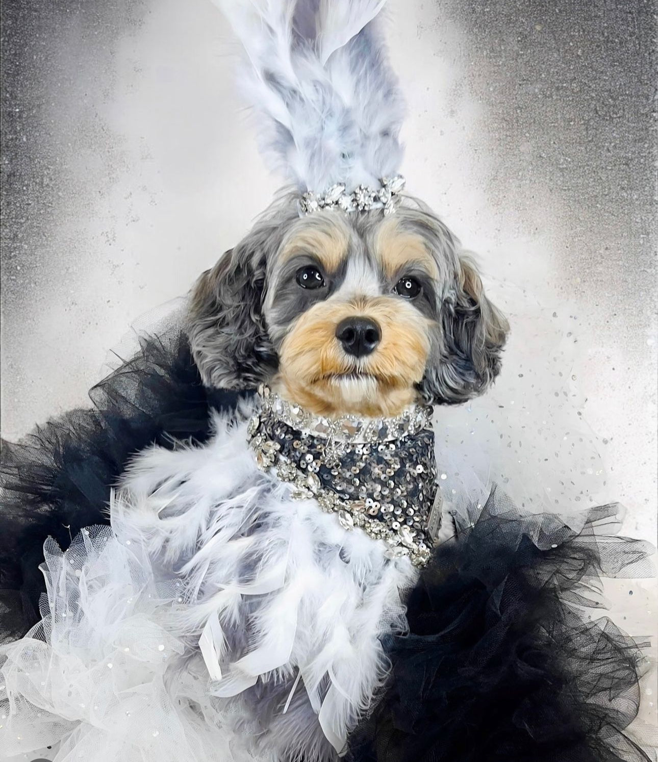 Holiday Collection: Magical Reinvention