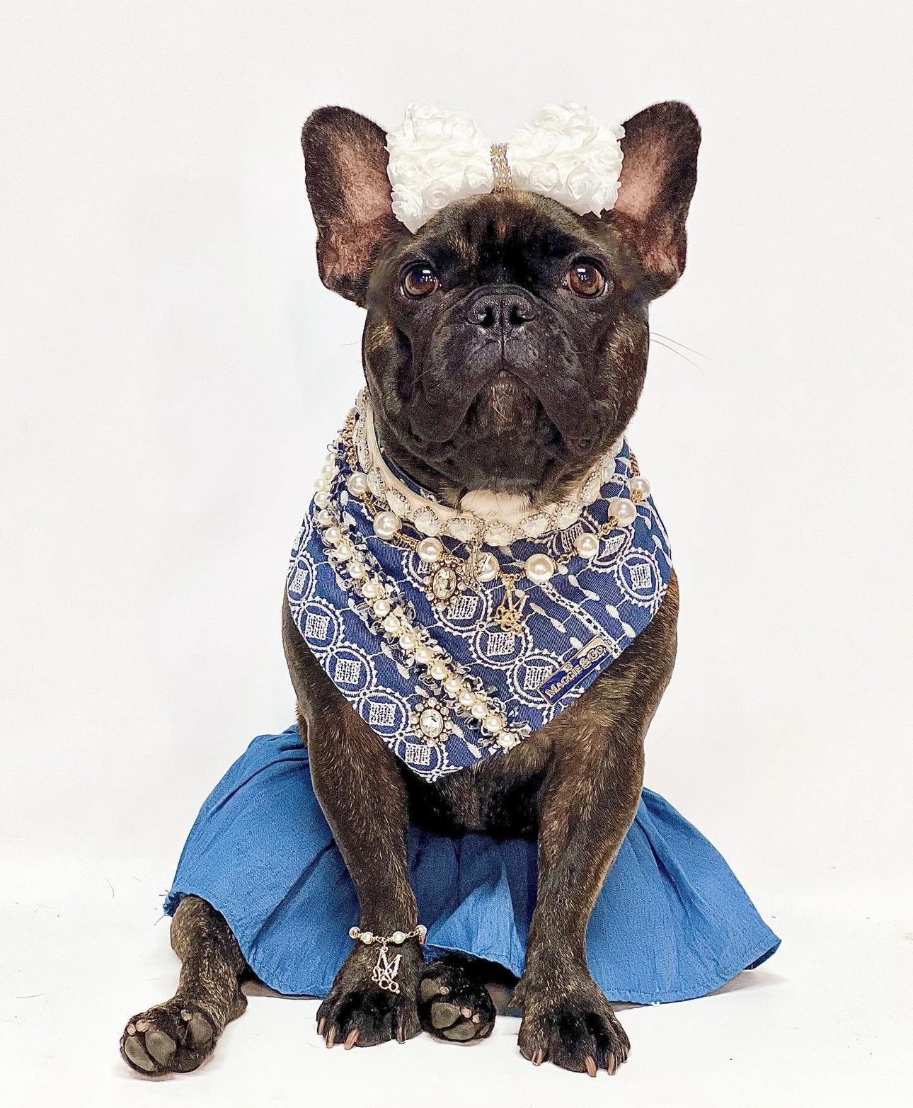 Barkie Collection: Blue Label Bandana