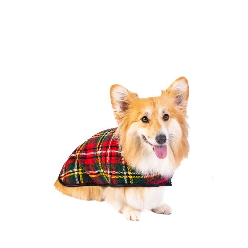 Scotty Plaid Wool Dog Blanket Coat