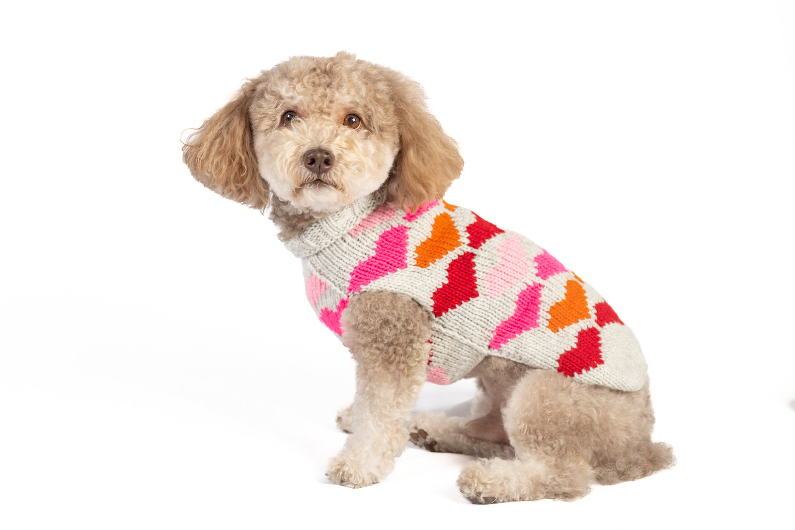 Puppy Love Knit Dog Sweater