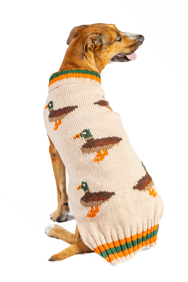 Lucky Duck Dog Sweater