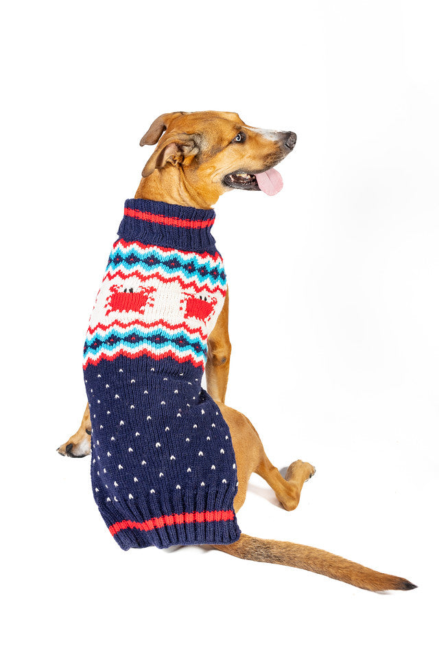 Crabby Coast Wool Dog Sweater