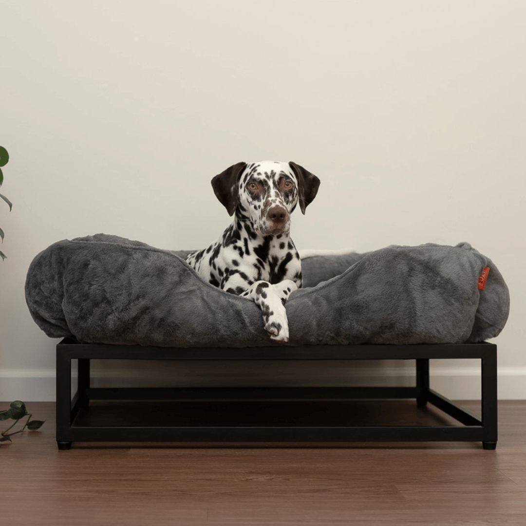 The FUZI Elevated Dog Bed