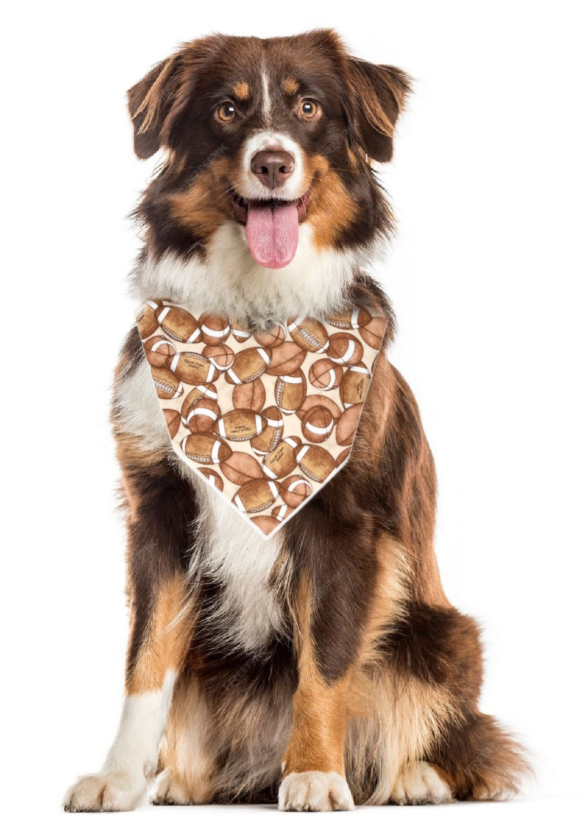 Fall Football Pet Bandana