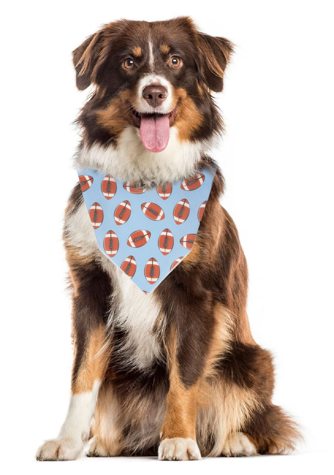 Football Pet Bandana