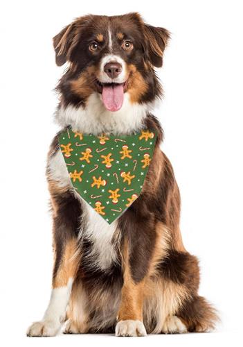 Gingerbread Holiday Pet Bandana