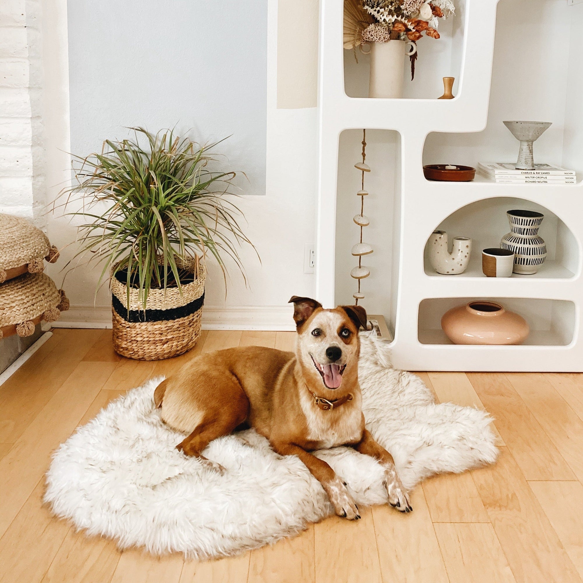 Puprug Faux Fur Orthopedic Dog Bed Curve White with Brown Accents