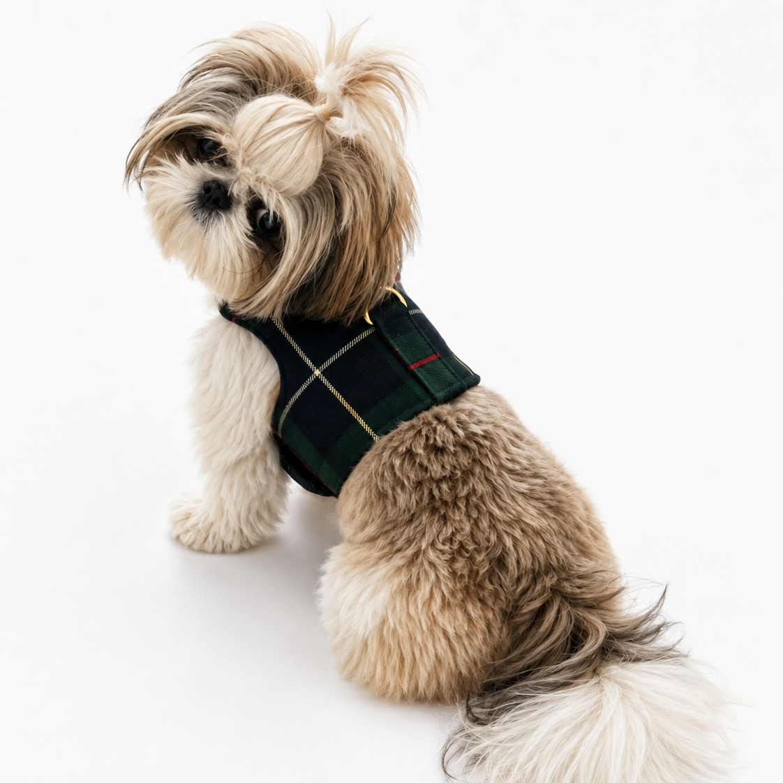 Heads or Tails Pup Green Plaid Dog Harness