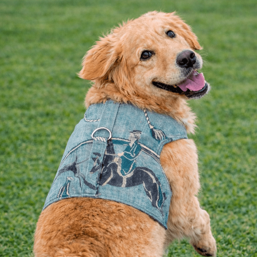 Heads or Tails Pup Luxury Equestrian Linen Denim Dog Harness