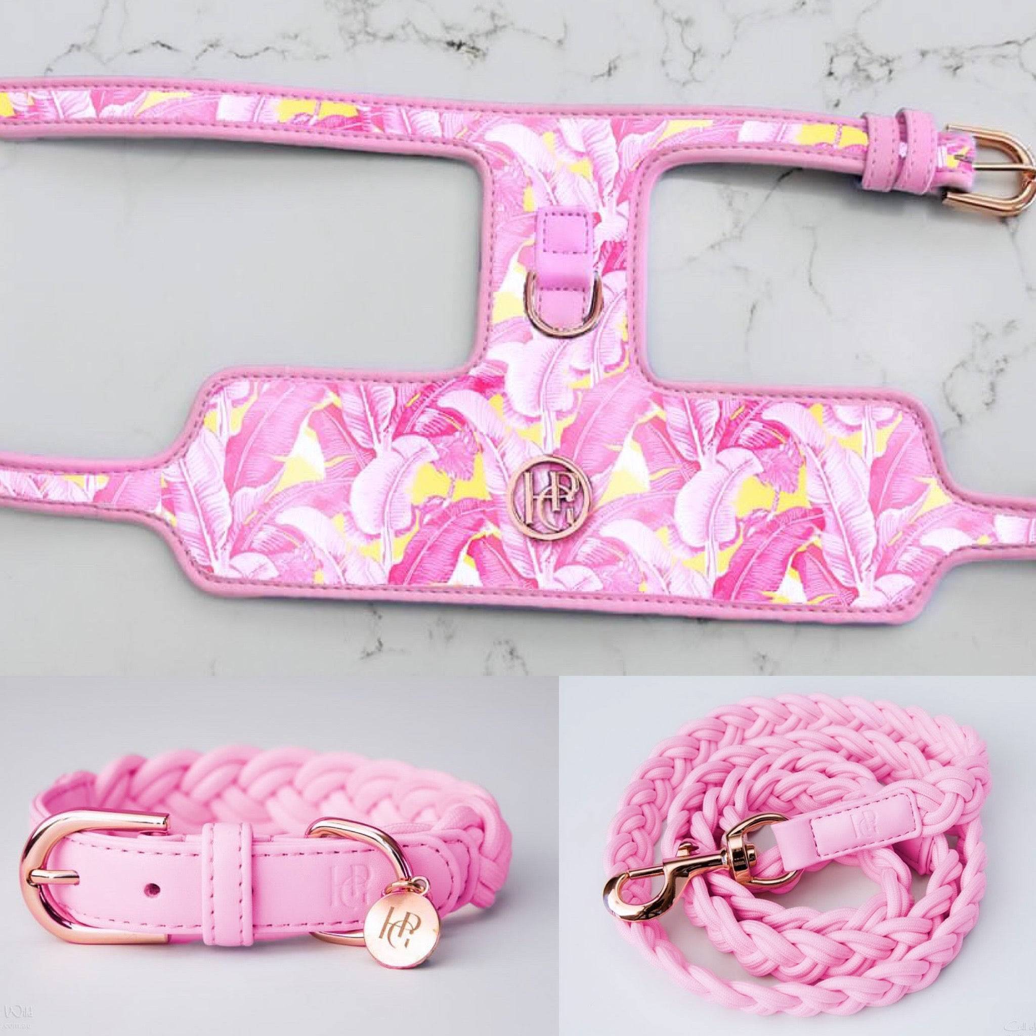 The Birds of a Feather Dog Harness