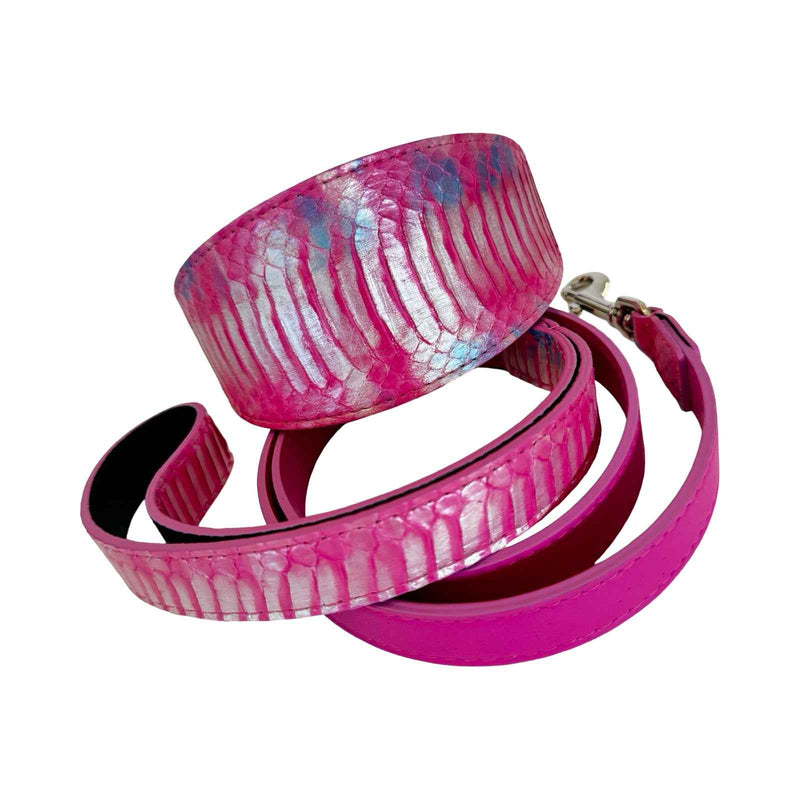 Allysa Payne Pavé In Pink Authentic Iridescent Snake 3-Inch Wide Style Statement Dog Collar & Leash Set