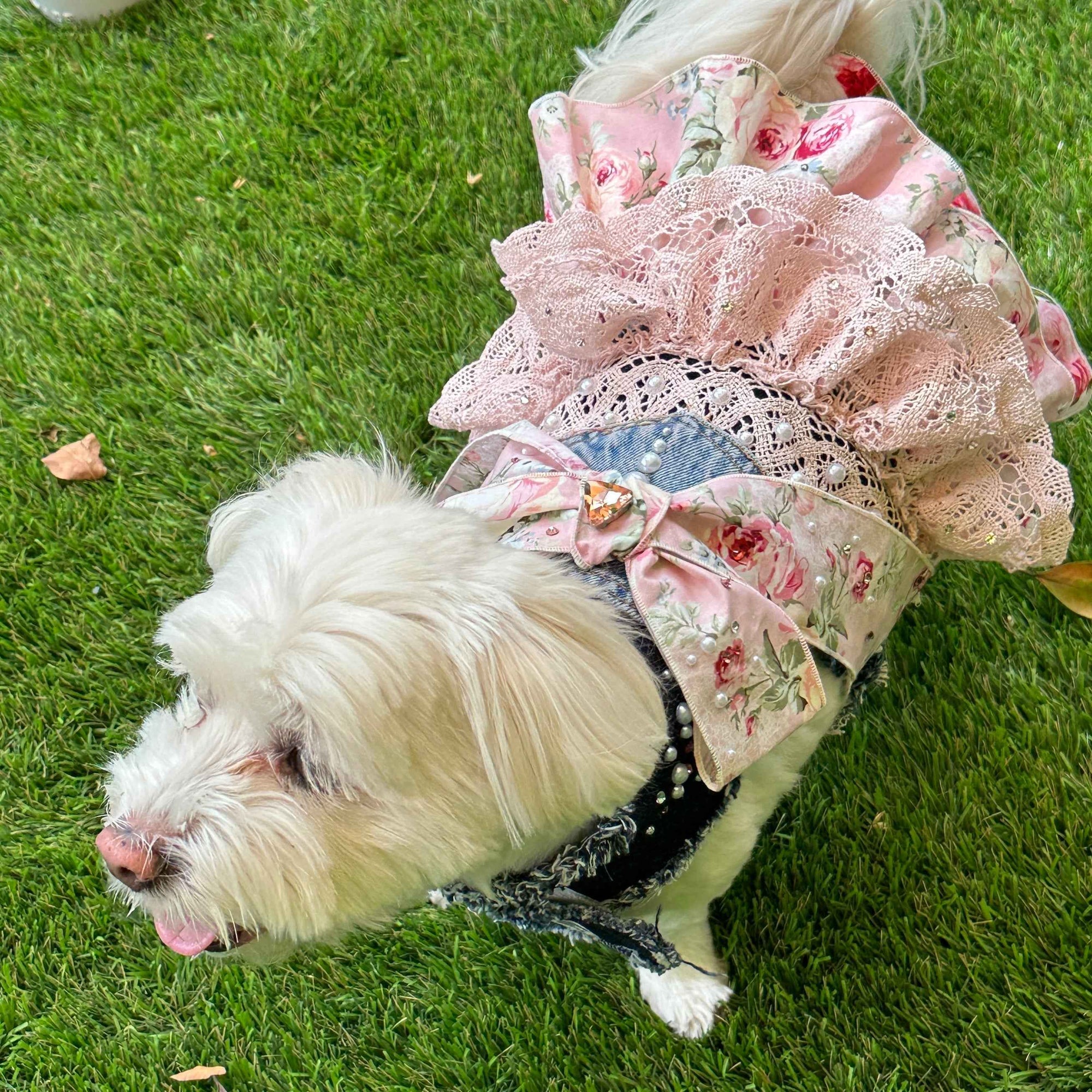 Heads or Tails Pup LovePackPuppy Denim Dog Dress
