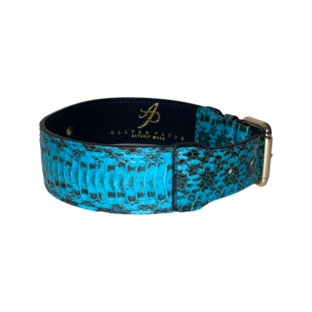 Allysa Payne Turquoise & Black Classic Snake Dog Collar With Gold Hardware