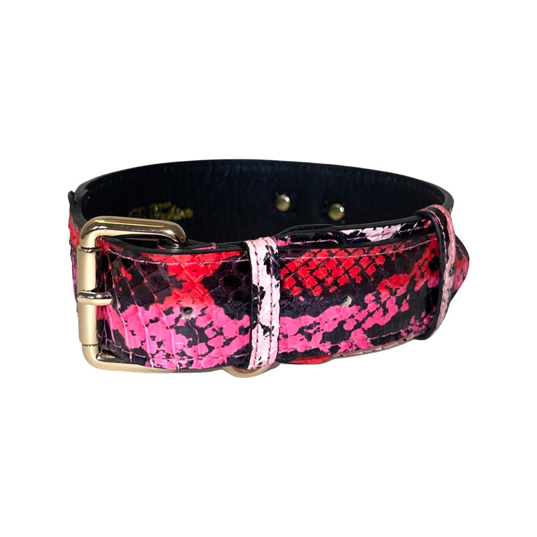 Allysa Payne Fuchsia/Light Pink/Red & Black Snake Classic Dog Collar