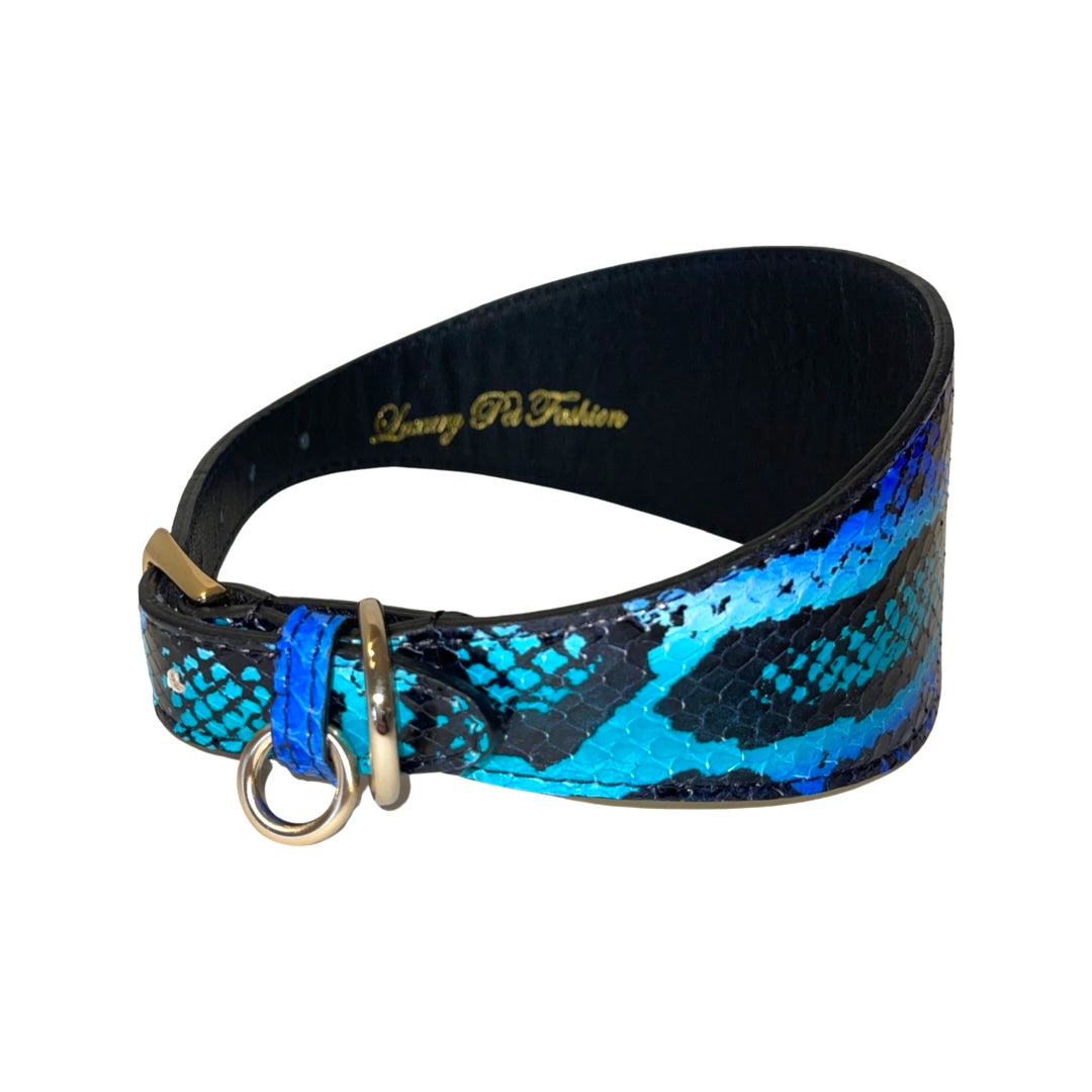 Allysa Payne Electric/Turquoise Blue & Black 3-Inch Wide Style Dog Collar