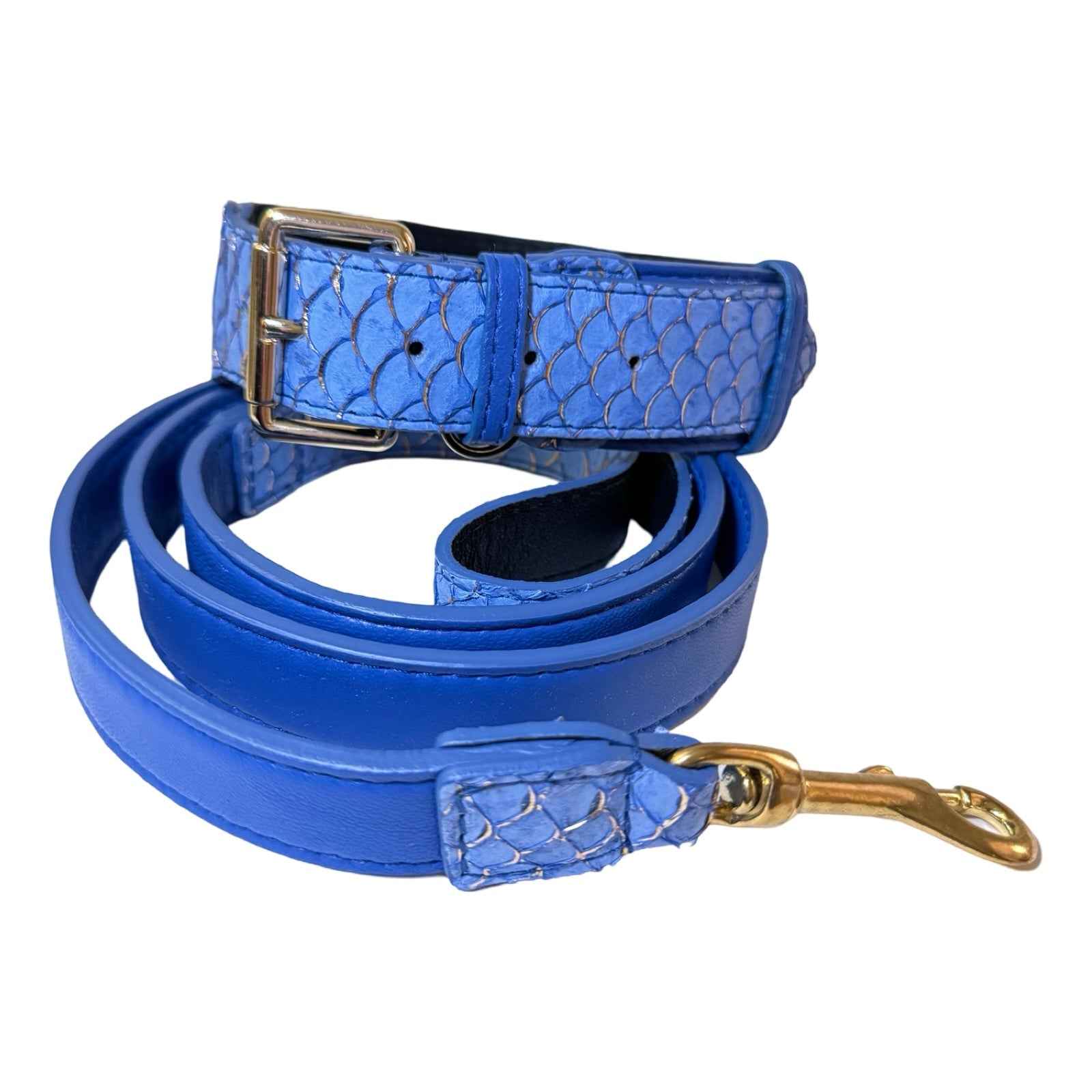 Allysa Payne Malibu Classic Dog Collar & Leash Set