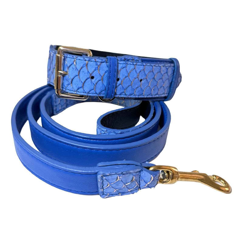 Allysa Payne Malibu Classic Dog Collar & Leash Set