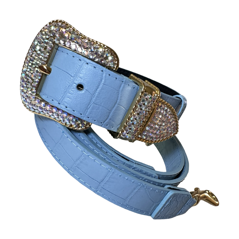 Allysa Payne La Jolla Dog Collar & Leash Set