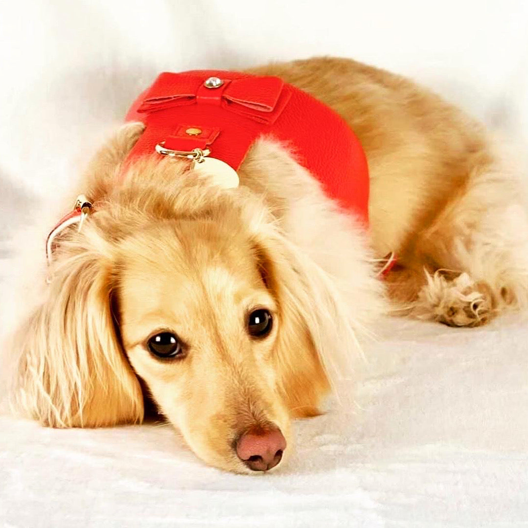 Harness - Melting Hearts