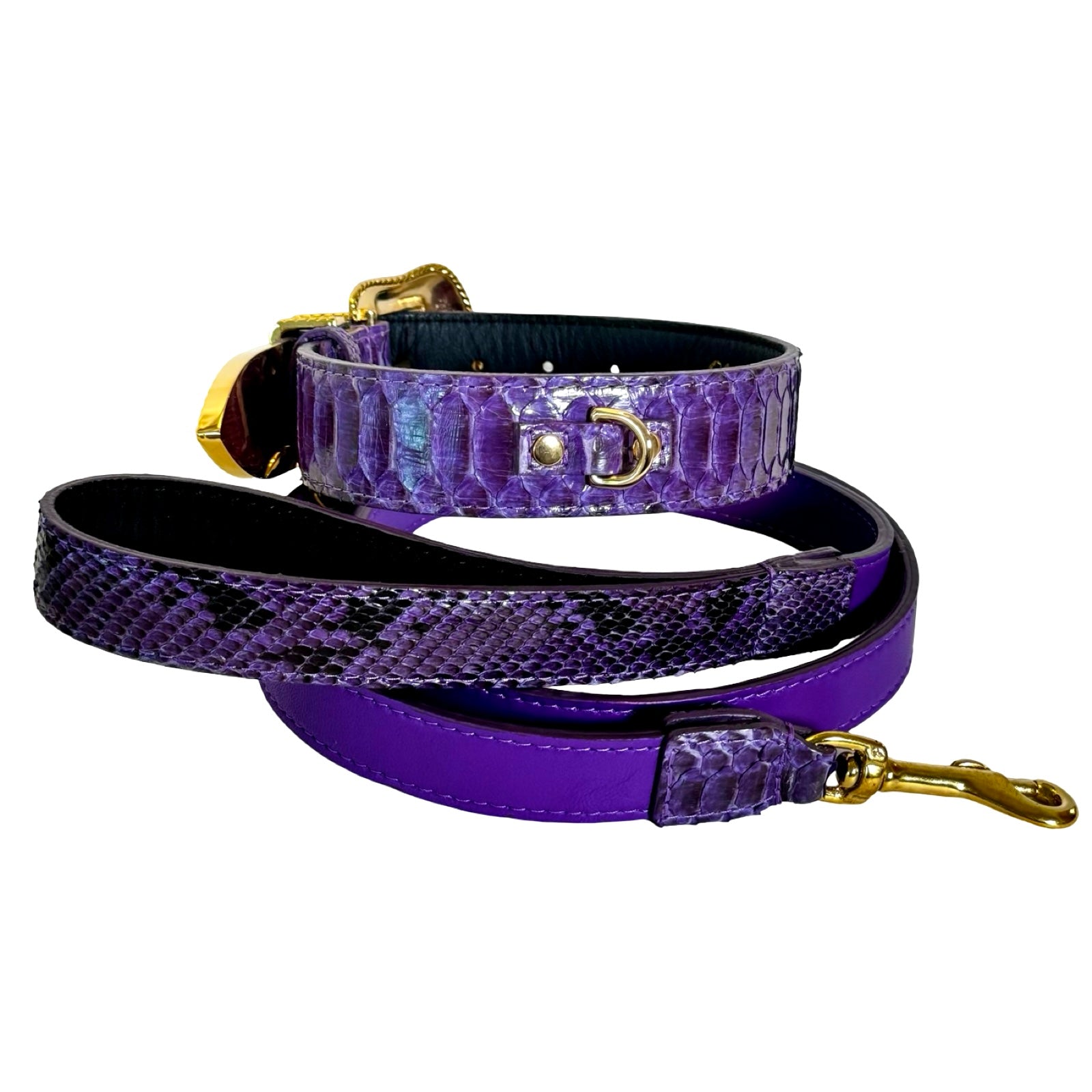 Allysa Payne Amethyst Royale Python Set Dog Collar
