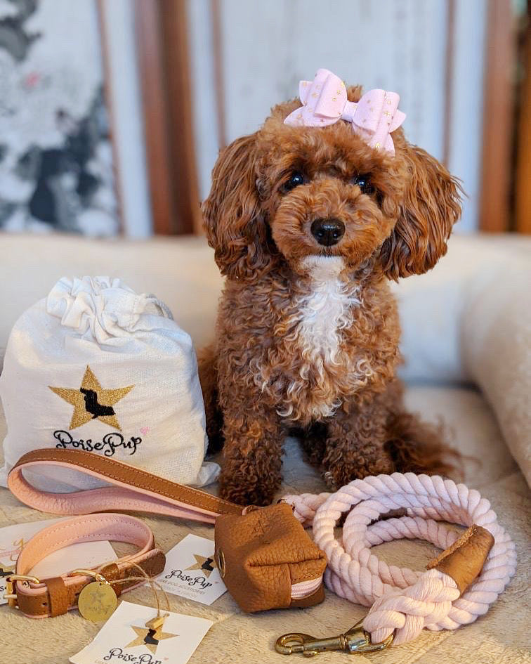 Waste Bag Holder - Bella Rose