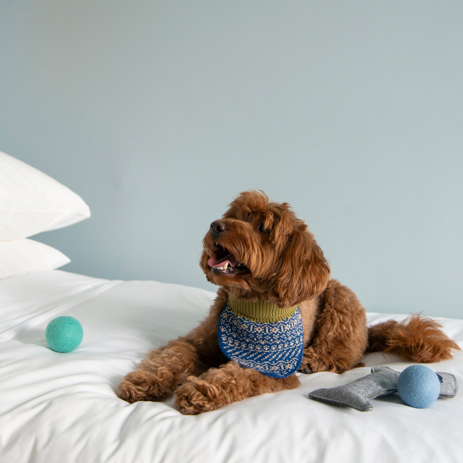 Nooee pet Wool Toy Ball (4CM) | HT Animal Supply