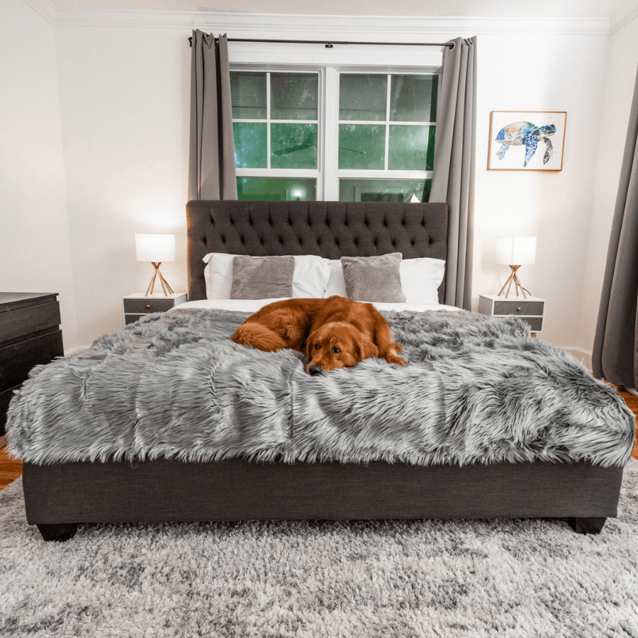 PupProtector Waterproof Throw Blanket Charcoal Grey