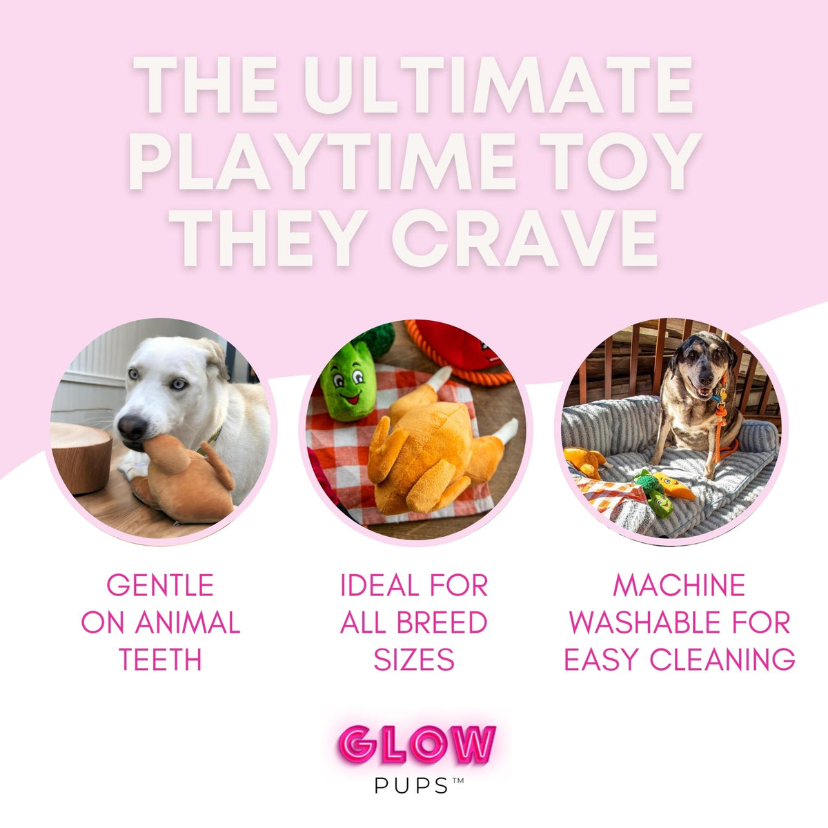 Glow Pups: Thanksgiving Turkey Squeaky Plush Dog Toy