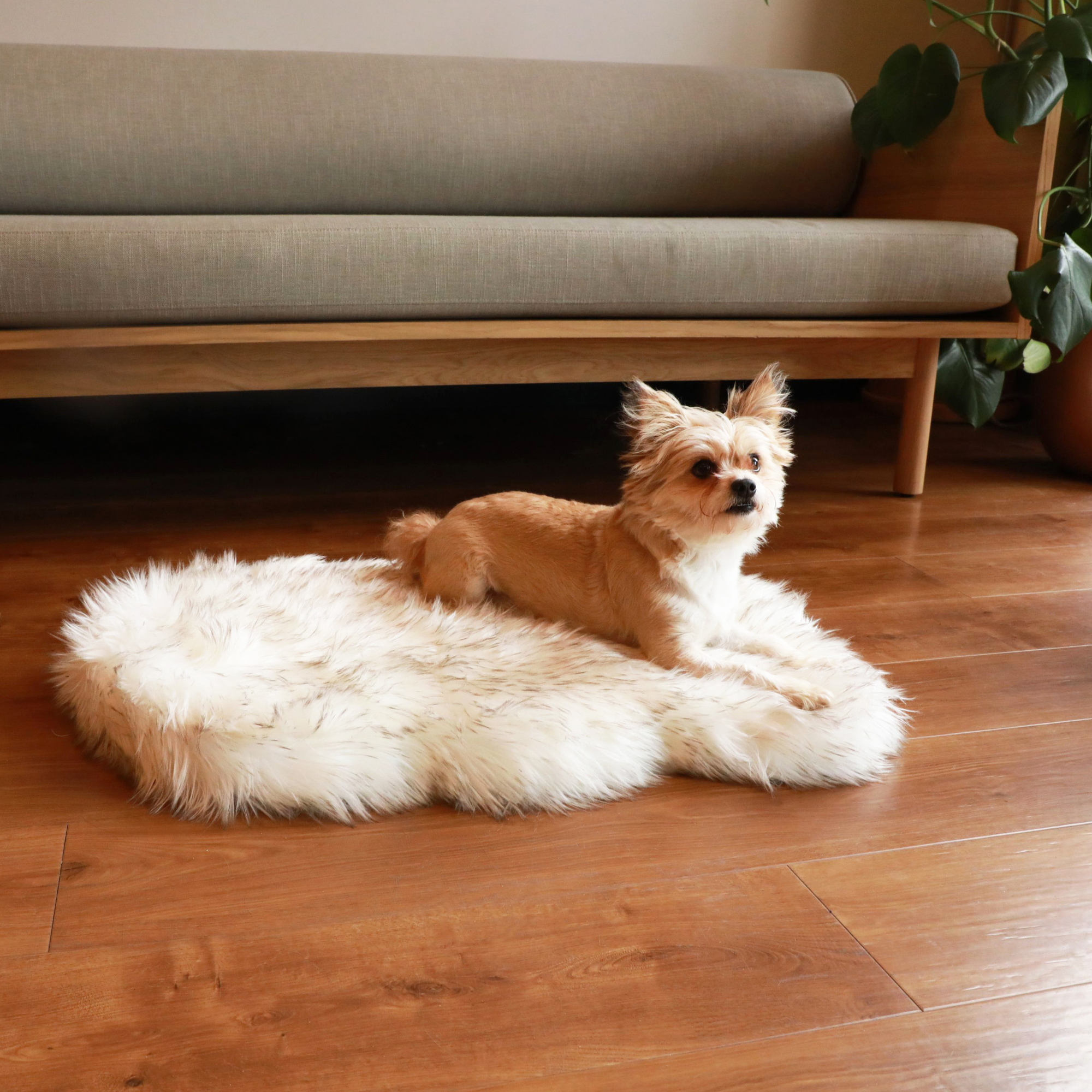 Puprug Faux Fur Orthopedic Dog Bed Curve White with Brown Accents