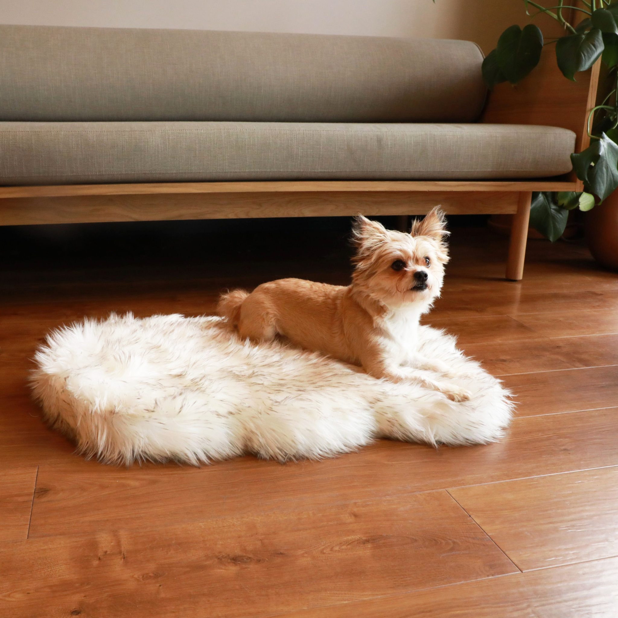 Puprug Faux Fur Orthopedic Dog Bed Curve White with Brown Accents