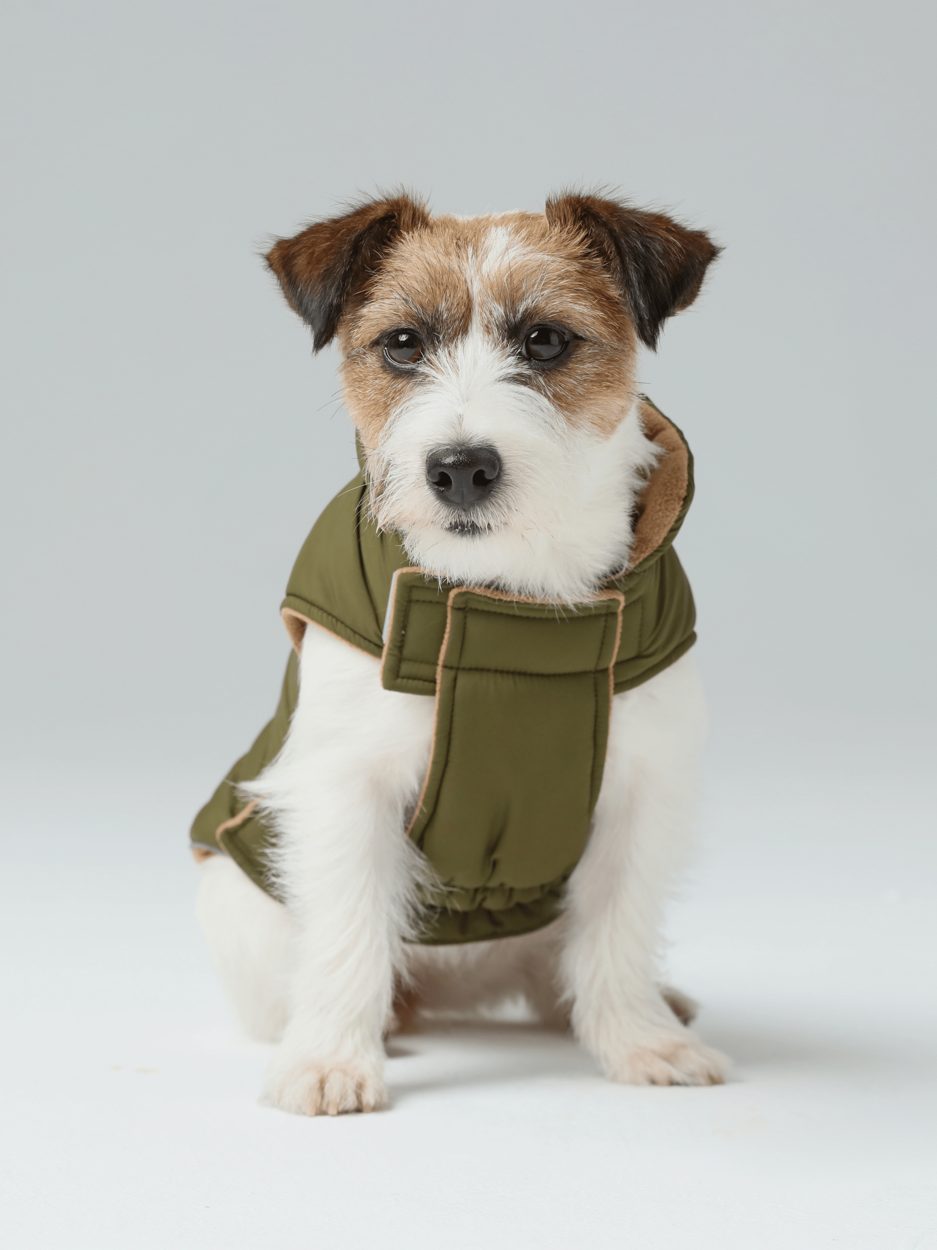 Reversible Dog Vest Jacket-Green Brown
