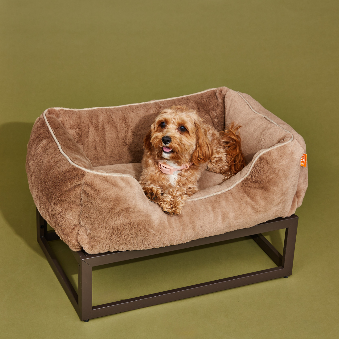 The FUZI Elevated Dog Bed