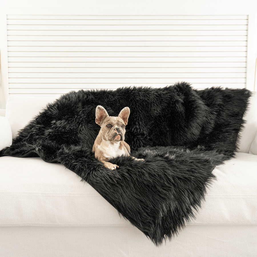 PupProtector™ Waterproof Throw Blanket - Midnight Black | HT Animal Supply