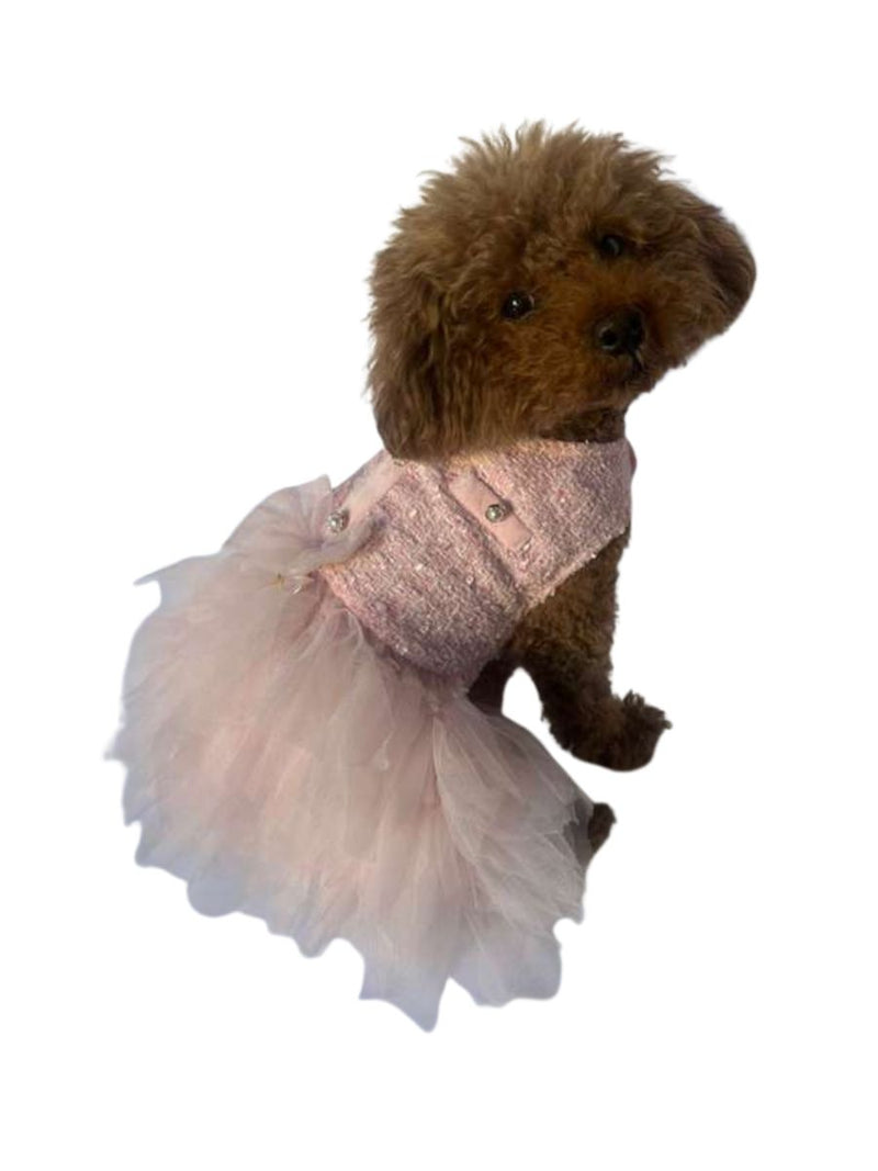 Mademoiselle Coco Tutu, Pink on Pink
