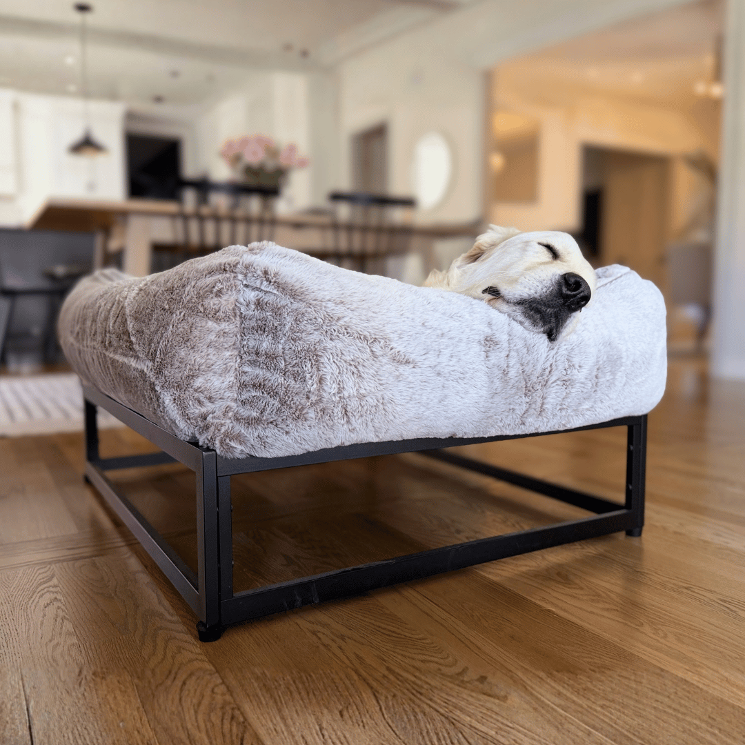 FÜZI Elevated Dog Bed in Truffle with black base, side profile