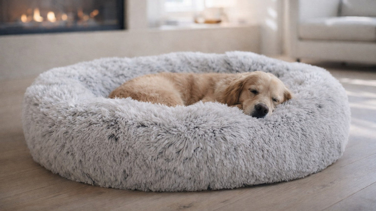 Bowsers Icelandic Shag Orthopedic Dog Bed - Supportive Joint-Relief Comfort