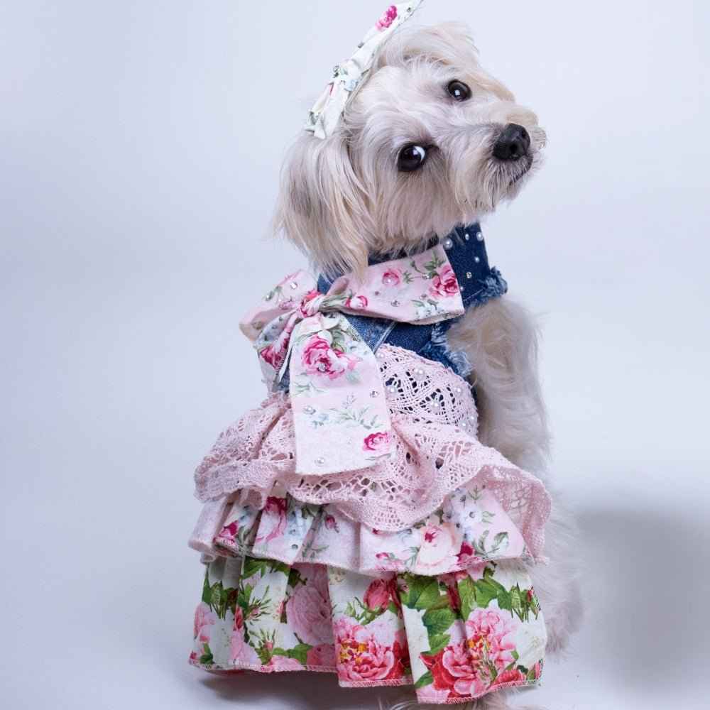 Heads or Tails Pup LovePackPuppy Denim Dog Dress