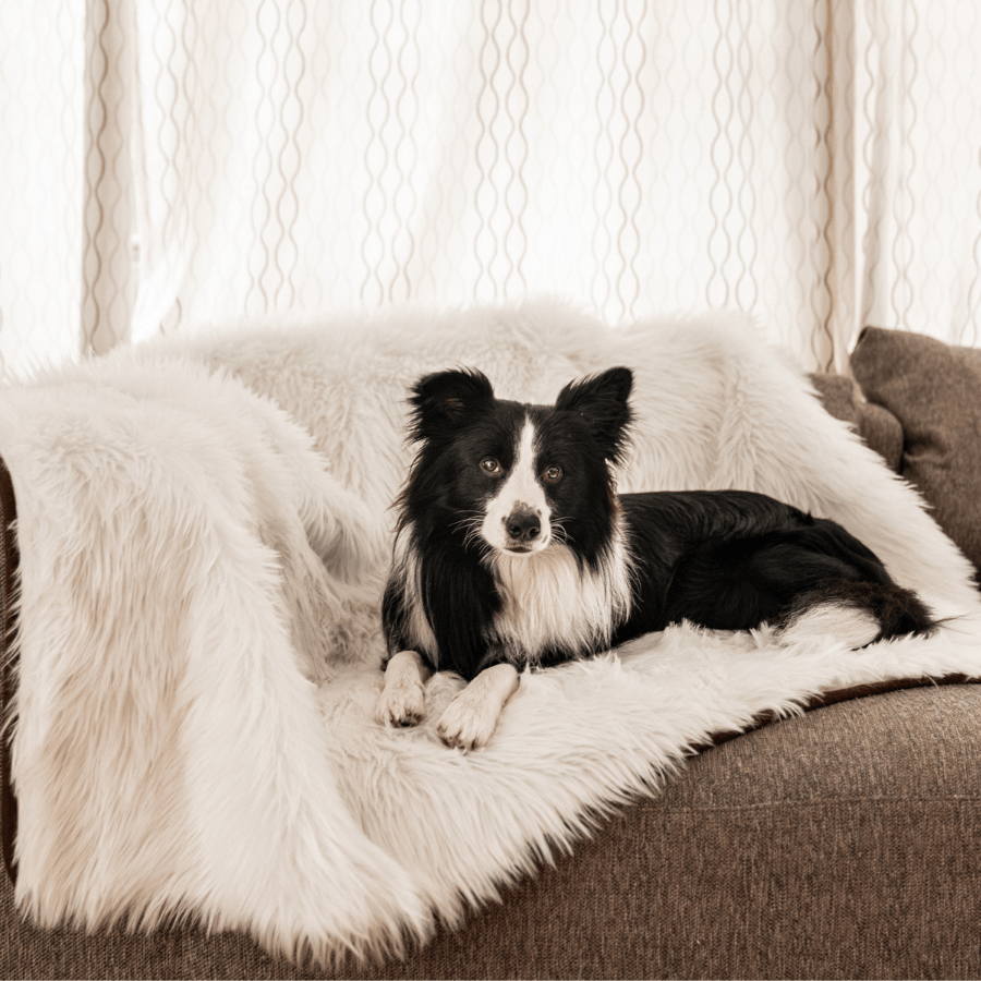 PupProtector Waterproof Throw Blanket Polar White