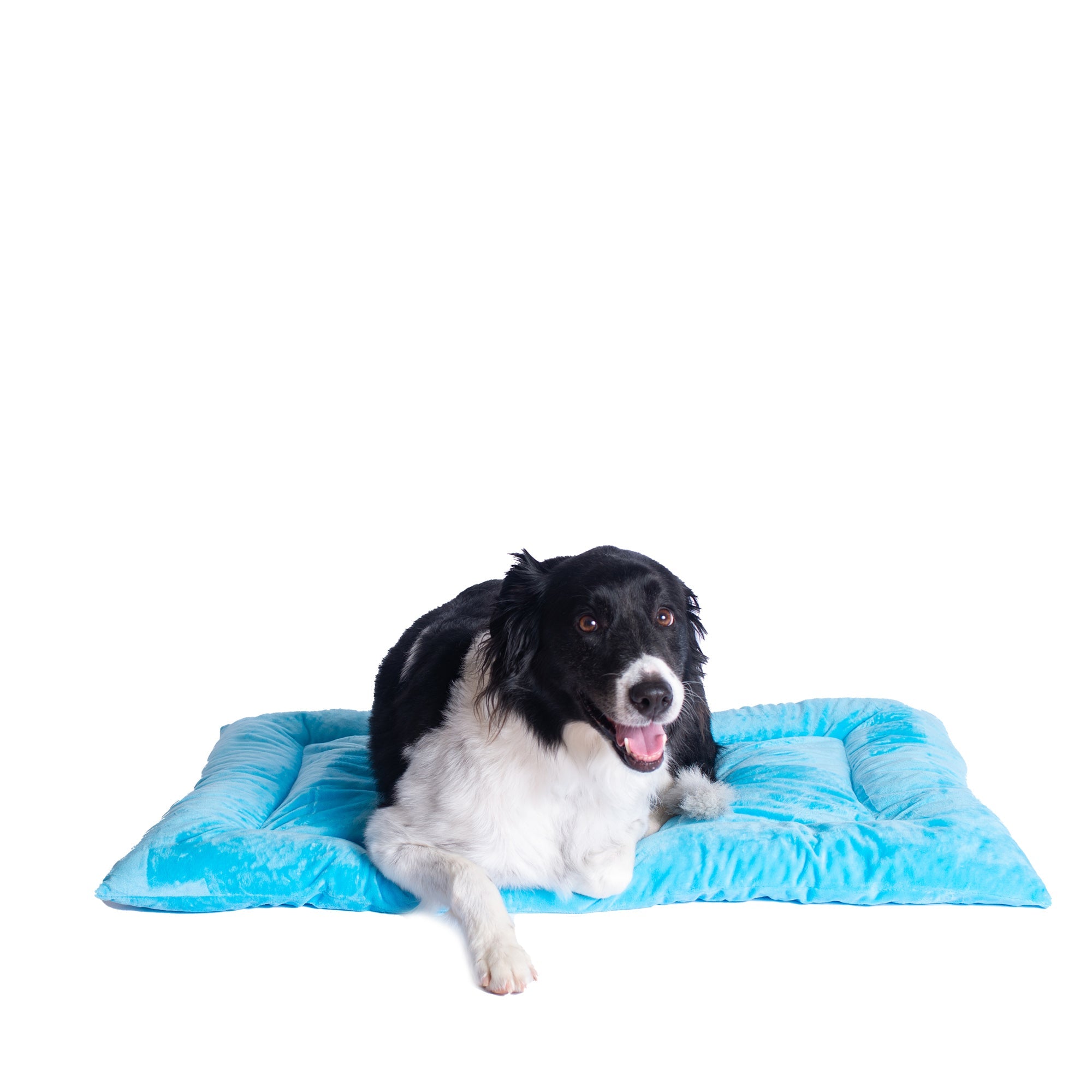 Armarkat M01CTL-L Large Pet Bed Mat Dog Crate Soft Pad With Poly Fill Cushion Sky Blue