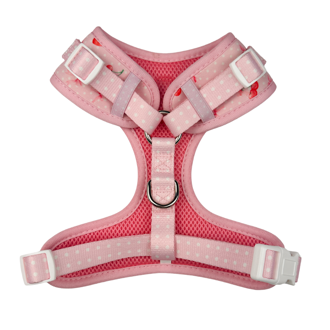 Sweet Cherie Adjustable Harness