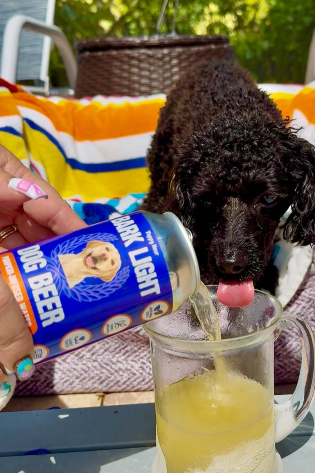 Bark Light Dog Beer