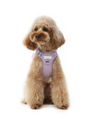 No Pull Active Pet Harness-Mint Purple