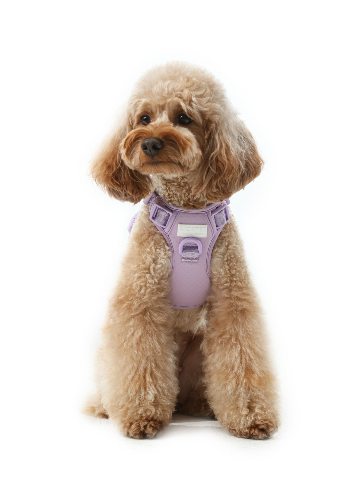 No Pull Active Pet Harness-Mint Purple