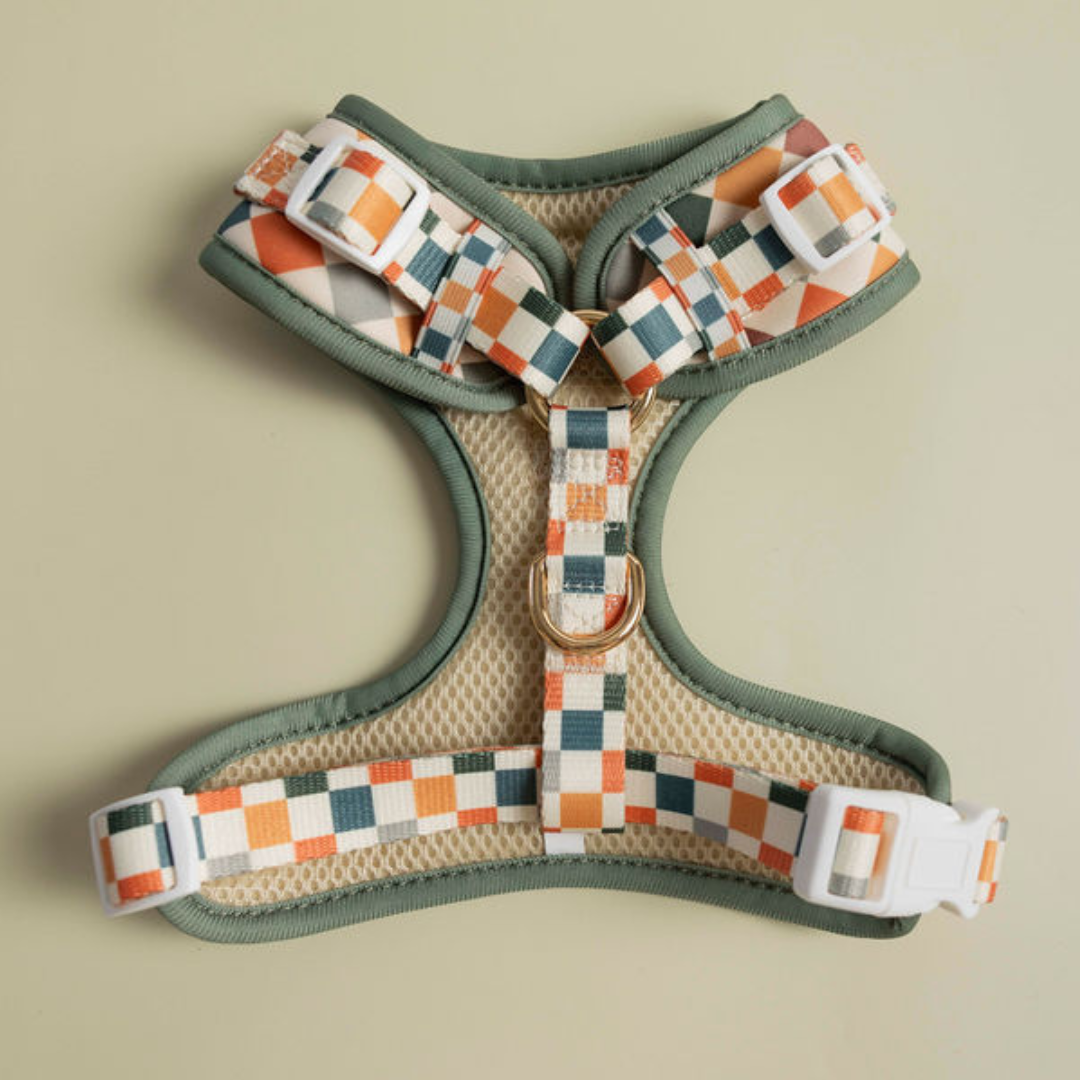Sage & Cider Adjustable Harness